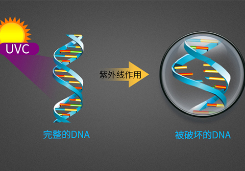 UVC紫外线灯杀菌消毒原理